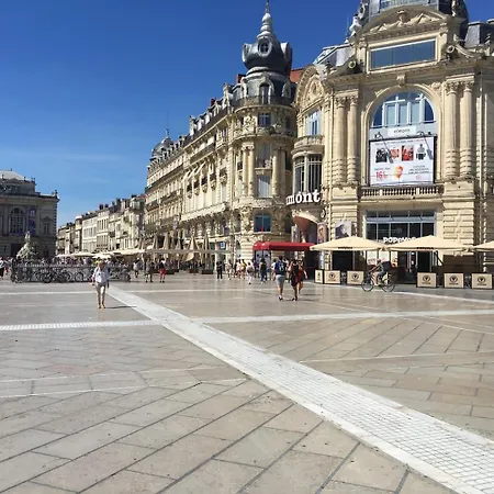 Le Mediterraneen, Charmant, Secteur Gare